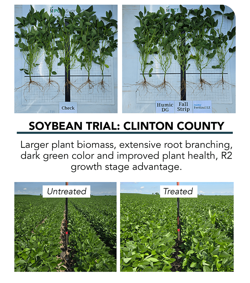 Soybean Strip Till harvest progress in Ohio