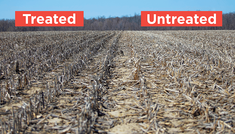 BioBuild Digester comparison between treated and untreated.