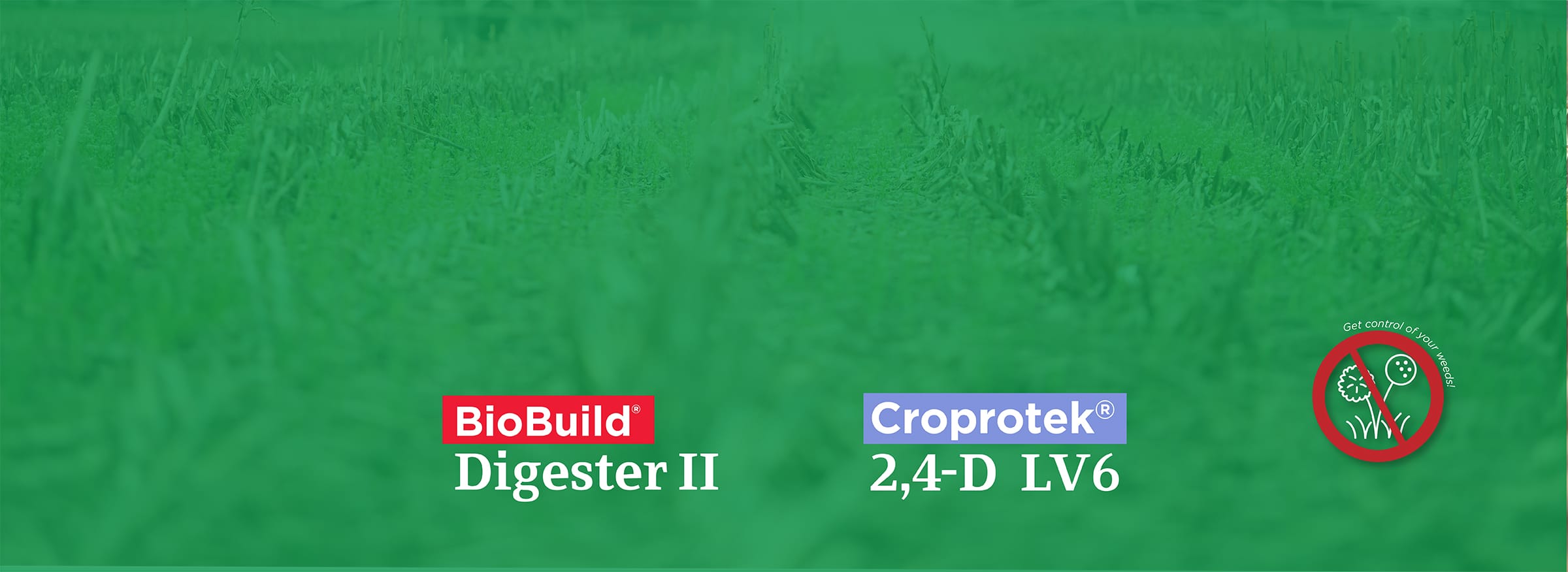 Fall field management with reducing crop residue.